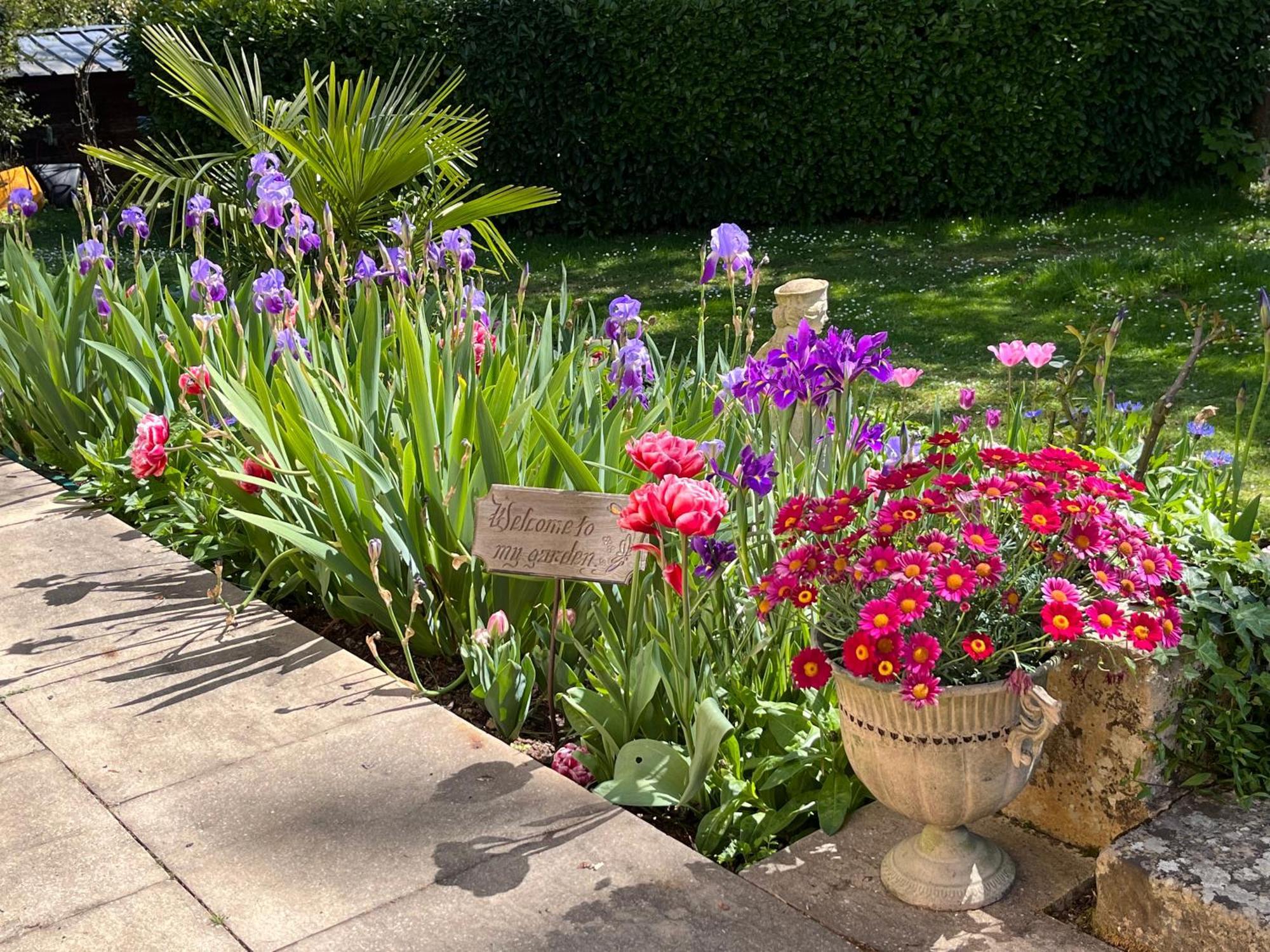 Le Bouquet Bleu Bed And Breakfast Siorac-en-Perigord Luaran gambar